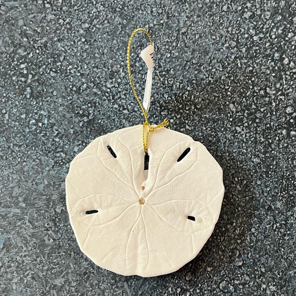 Vintage Santa on Maui Beach Real Sand Dollar Christmas Ornament Sea Shell - Picture 3 of 4